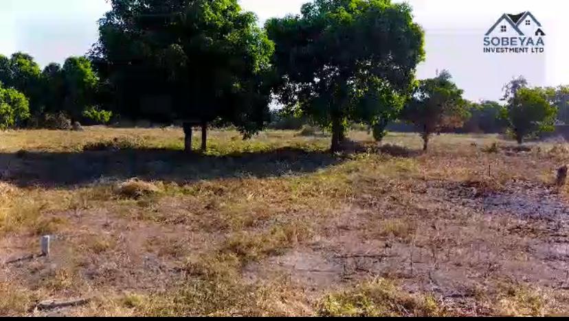 Sobeyaa Properties Investment Limited, Where Smart Investment Meets Peaceful Living...